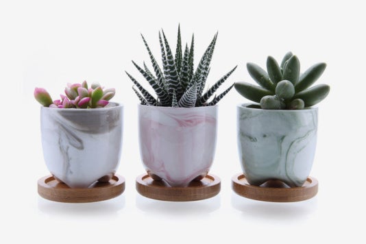 T4U 2.25-inch Ice Cream Plant Pots With Bamboo Trays (Set of 3).